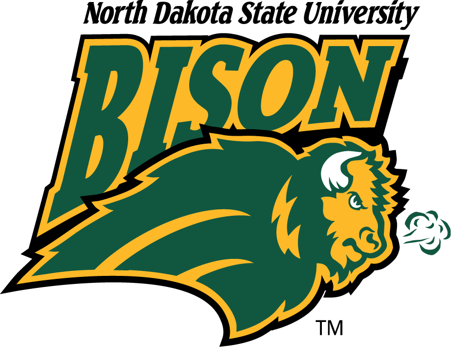 North Dakota State Bison 1999-2012 Alternate Logo iron on transfers for T-shirts